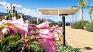 A garden with pink flowers, a white pergola, and a paved walkway. - Villa Etesiae (Castellammare del Golfo)