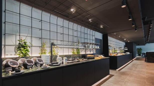 A modern kitchen area with a long counter, various cooking appliances, and a large window with plants.