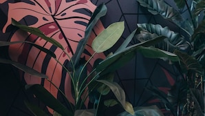 A modern lounge area with a black leather chair, a potted plant, and a wall with a geometric pattern.