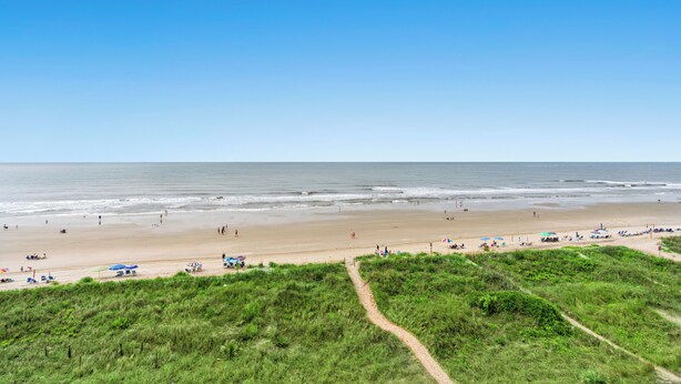 Een strand met een heldere lucht, zandstrand en zandduinen begroeid met gras.