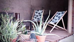 Potted plants and two beach chairs with palm tree patterns on a wooden deck. - Grande Maison Design, jardin, patio et parking (Gannat)