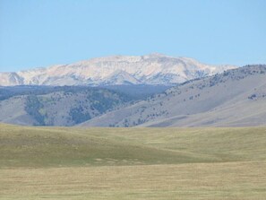 Niet-geclassificeerde afbeelding, 4 van 9, knop