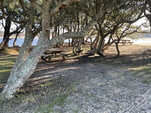 Property grounds - Les Landes Lodge (Soustons)