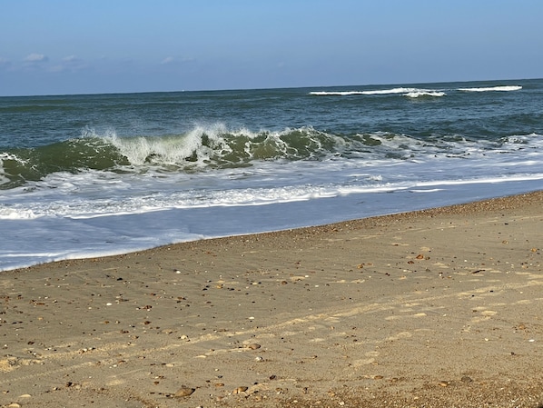 Beach - Les Landes Lodge (Soustons)