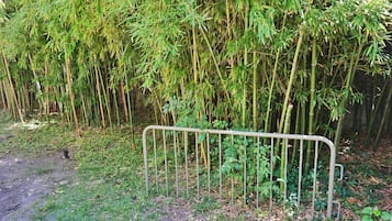 Overnatningsstedets område