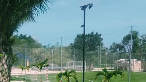 Uma quadra de tênis com rede, palmeiras e céu claro.