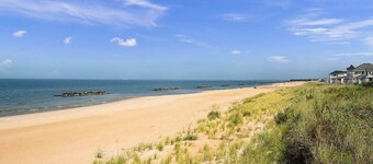 Postcards from the Bay