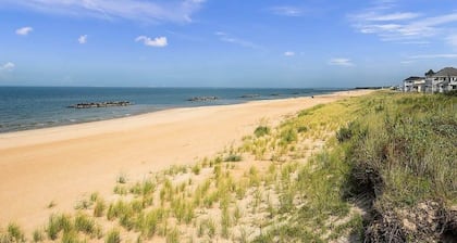 Postcards from the Bay