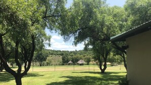 A grassy outdoor area with trees and a building. - Peaceful and Private - Luxury Self Catering Home in Lanseria (Lanseria)