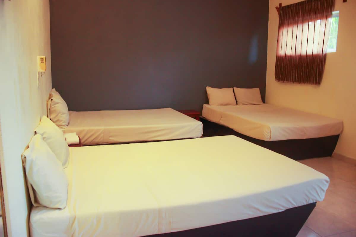 Premium bedding, minibar, free WiFi, bed sheets