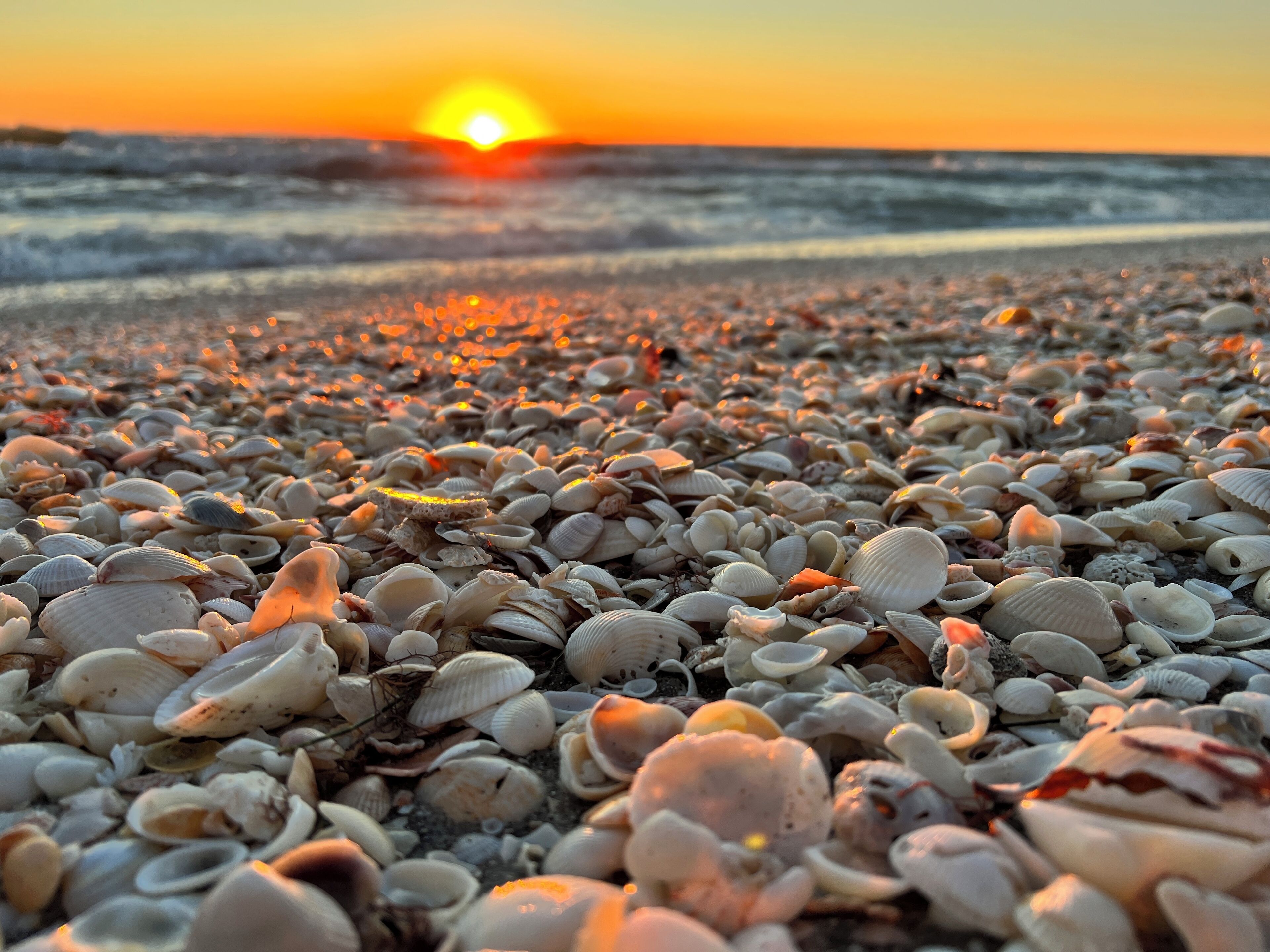 Plage à proximité, chaises longues, serviettes de plage