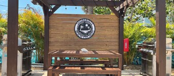 Laughing Gull at Shorebirds 3min walk to beach Sunsets! Kayaks Bikes and More!