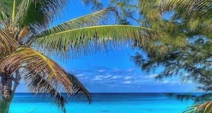 Bimini ocean view condo