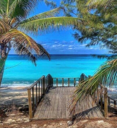 Bimini ocean view condo