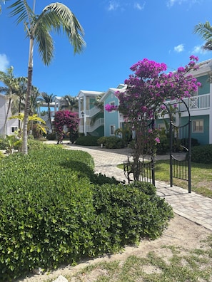 Un resort con un camino pavimentado, palmeras y un edificio con balcones.