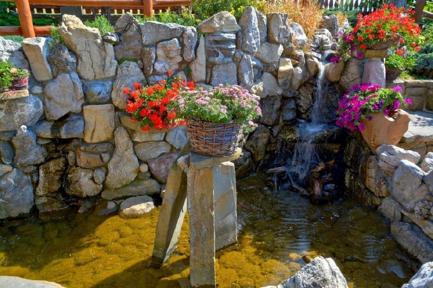 Garden