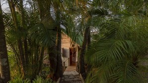 A pathway leading to a wooden structure surrounded by lush palm trees. - Jungle Treehouse w/ Daily Breakfast, WiFi + Views (Cobano)