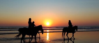 Jungle Treehouse w/ Daily Breakfast, WiFi + Views