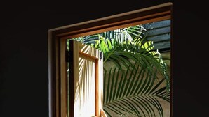 A room with a window, a lamp, and a bed. - Casa Blanca | Free Breakfast + Housekeeping | Pool (Cobano)