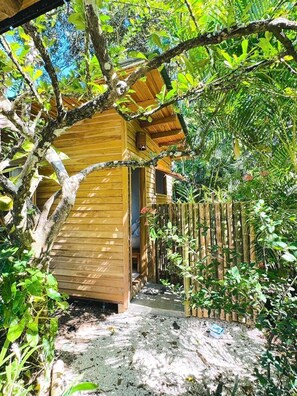 A wooden cabin with a porch, surrounded by dense foliage.