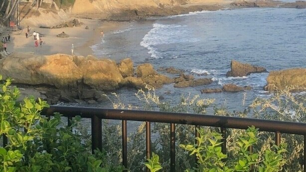 A coastal view with a beach, palm trees, and a distant town. - LOVELY DESIGNER COTTAGE!   3 MIN WALK TO THE BEACH AND HEISLER PARK! (Laguna Beach)
