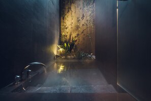 Maison Traditionnelle, non-fumeur | Salle de bain