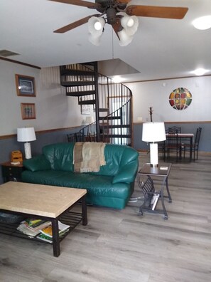 Smart TV, fireplace, DVD player, books