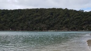 A beach with calm water and a forested hill in the background.