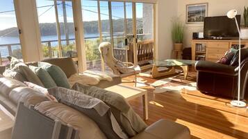 Televisión, chimenea, reproductor de DVD, libros