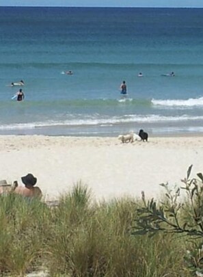 Beach nearby, sun-loungers