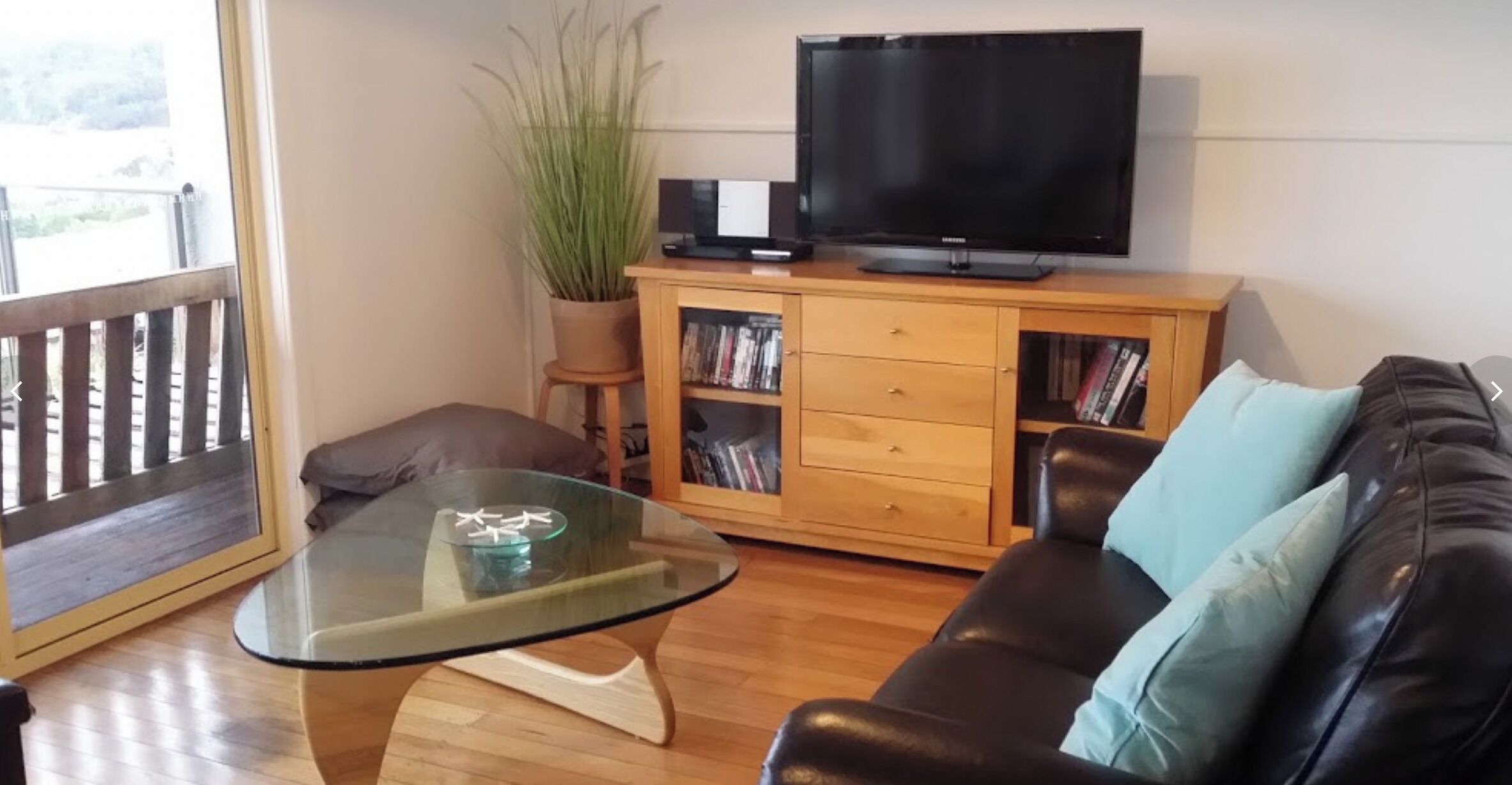 TV, fireplace, DVD player, books
