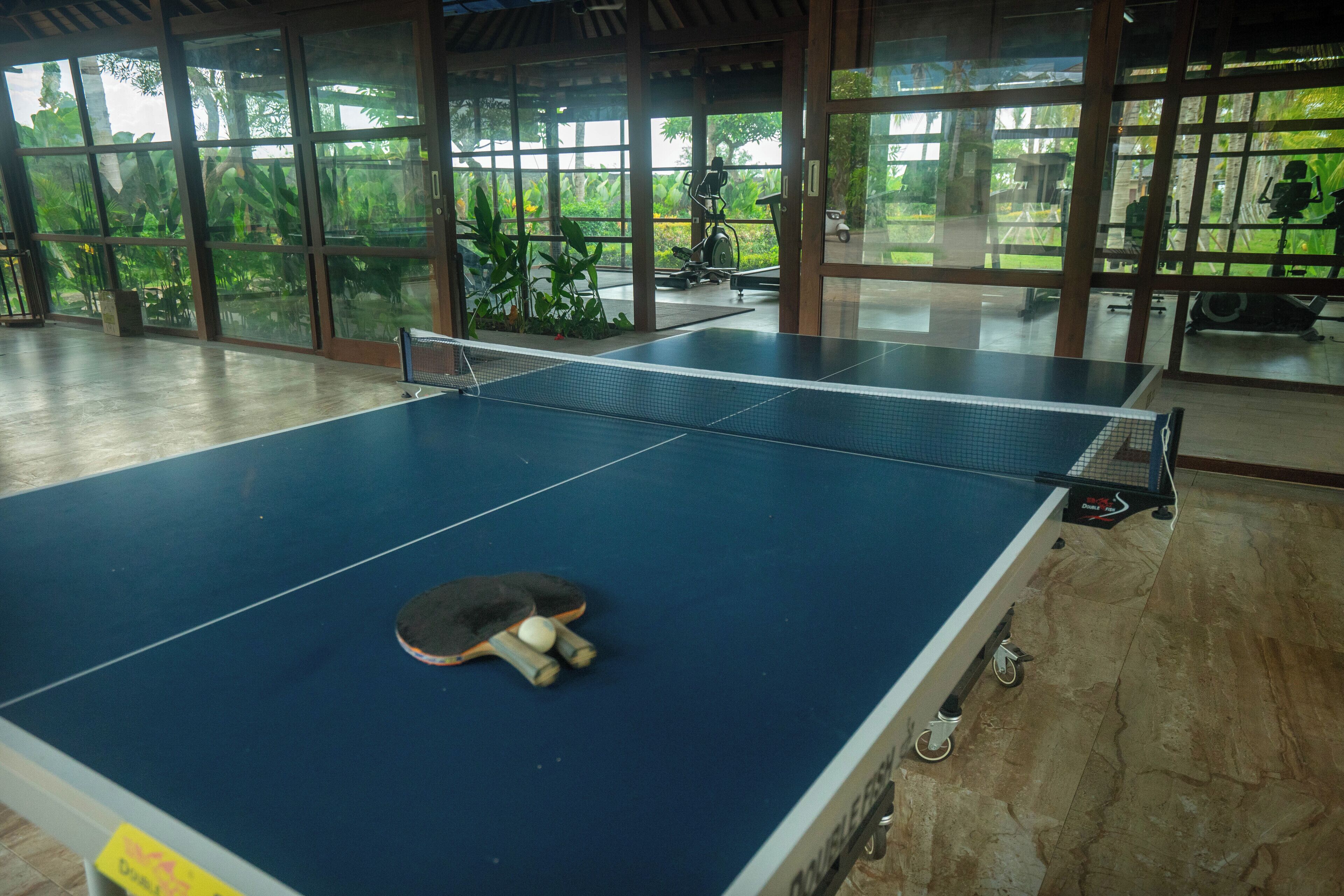 Una mesa de ping pong con paleta y pelota, rodeada de grandes ventanales con vistas a follaje.