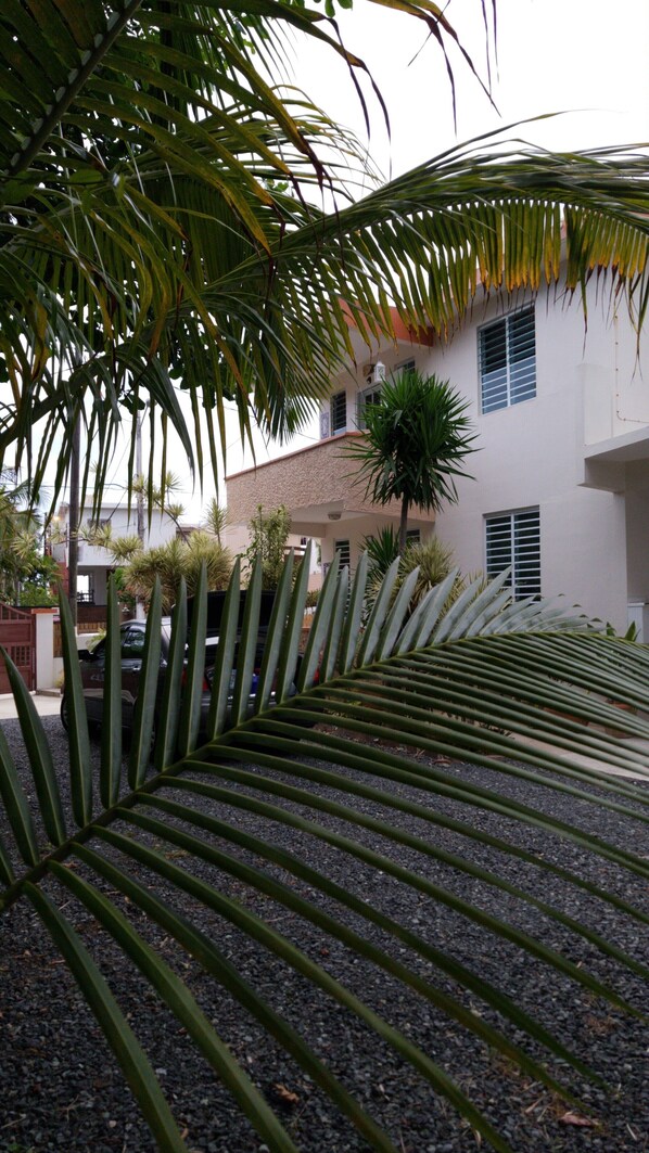 Ein Wohngebiet mit einem Haus, das eine weiße Fassade, ein geneigtes Dach und einen kleinen Garten mit Palmen und anderen Pflanzen zeigt.