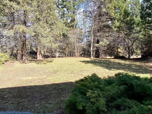 A natural outdoor area with trees and a grassy field. - Hollinshead - Orchard District, Amazing Yard Next To Park w/Daylight Basement w/Billiards (Bend)