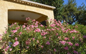 A building with a beige facade and an arched entrance. - Villa 1 Chambre (2 - 4 Personnes) (Sainte-Lucie de Porto-Vecchio)
