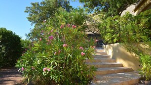 Una escalera de piedra que conduce a un edificio, rodeada de exuberante follaje y plantas en flor.