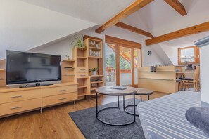 Smart-TV, Kamin