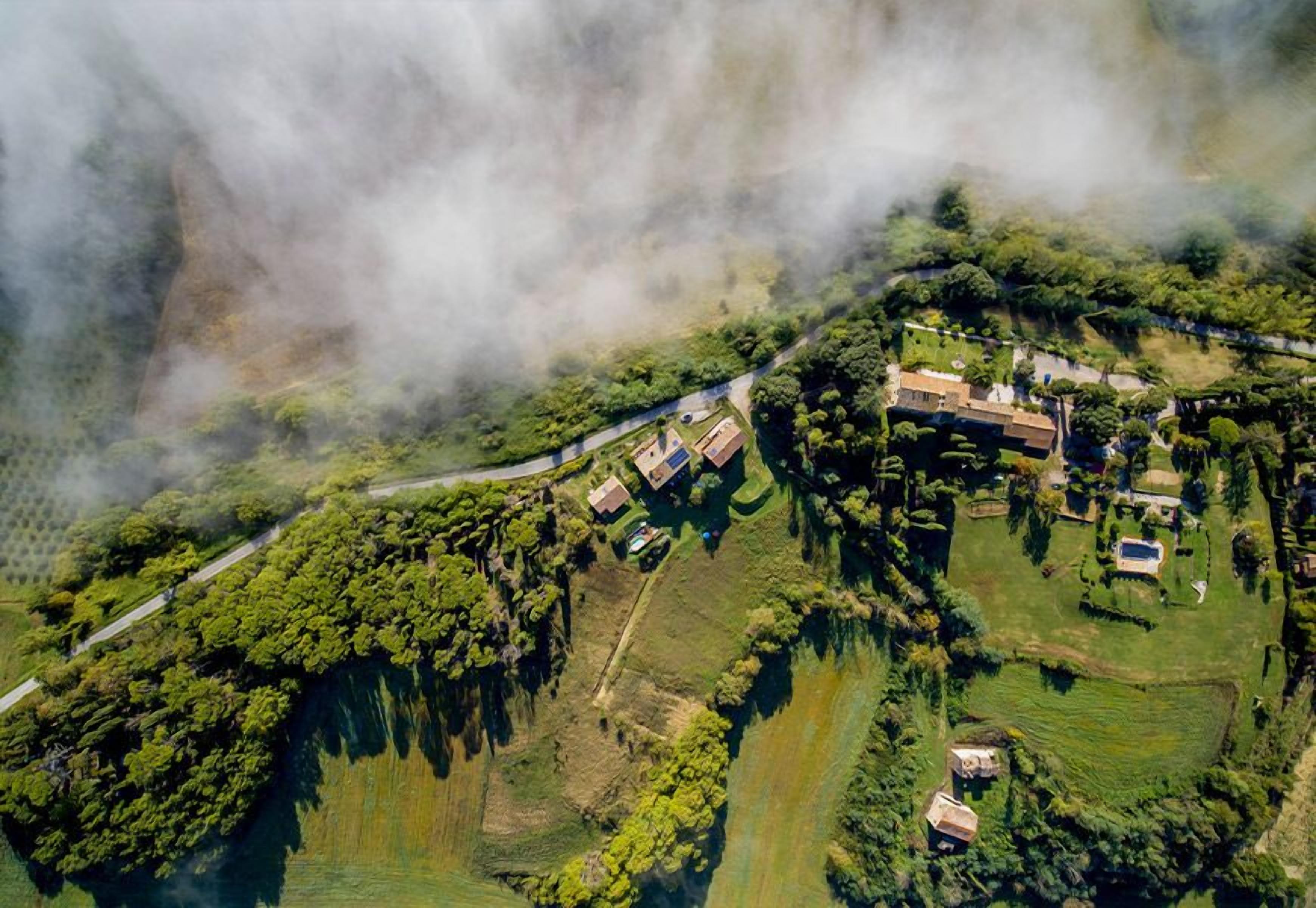 Aerial view