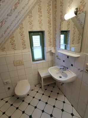 Dusche, Haartrockner, Handtücher, Toilettenpapier