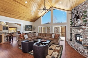 Televisión, chimenea y reproductor de DVD 