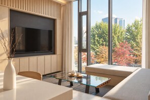 TV