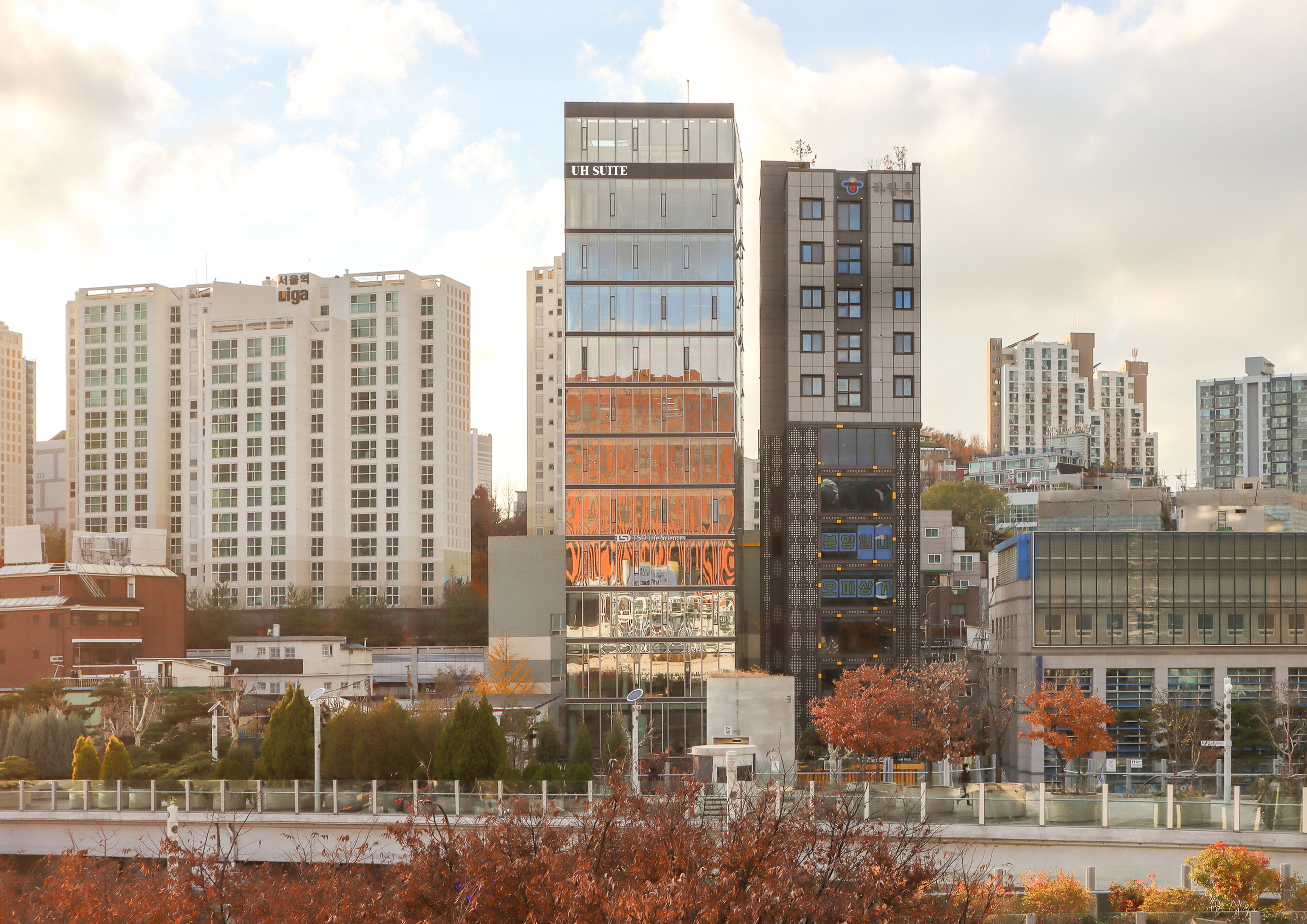 Foto - UH Suite The Seoul