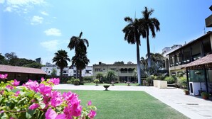 Taman