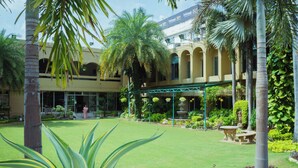 Taman