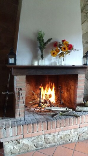Apartment, 2 Bedrooms, Fireplace | Living area