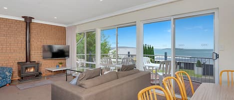 Smart TV, fireplace, DVD player, books