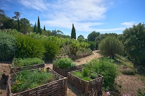 Property grounds - Provencial villa in the countryside not far from the beach (Grimaud)