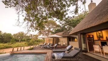 Outdoor pool, pool umbrellas, pool loungers