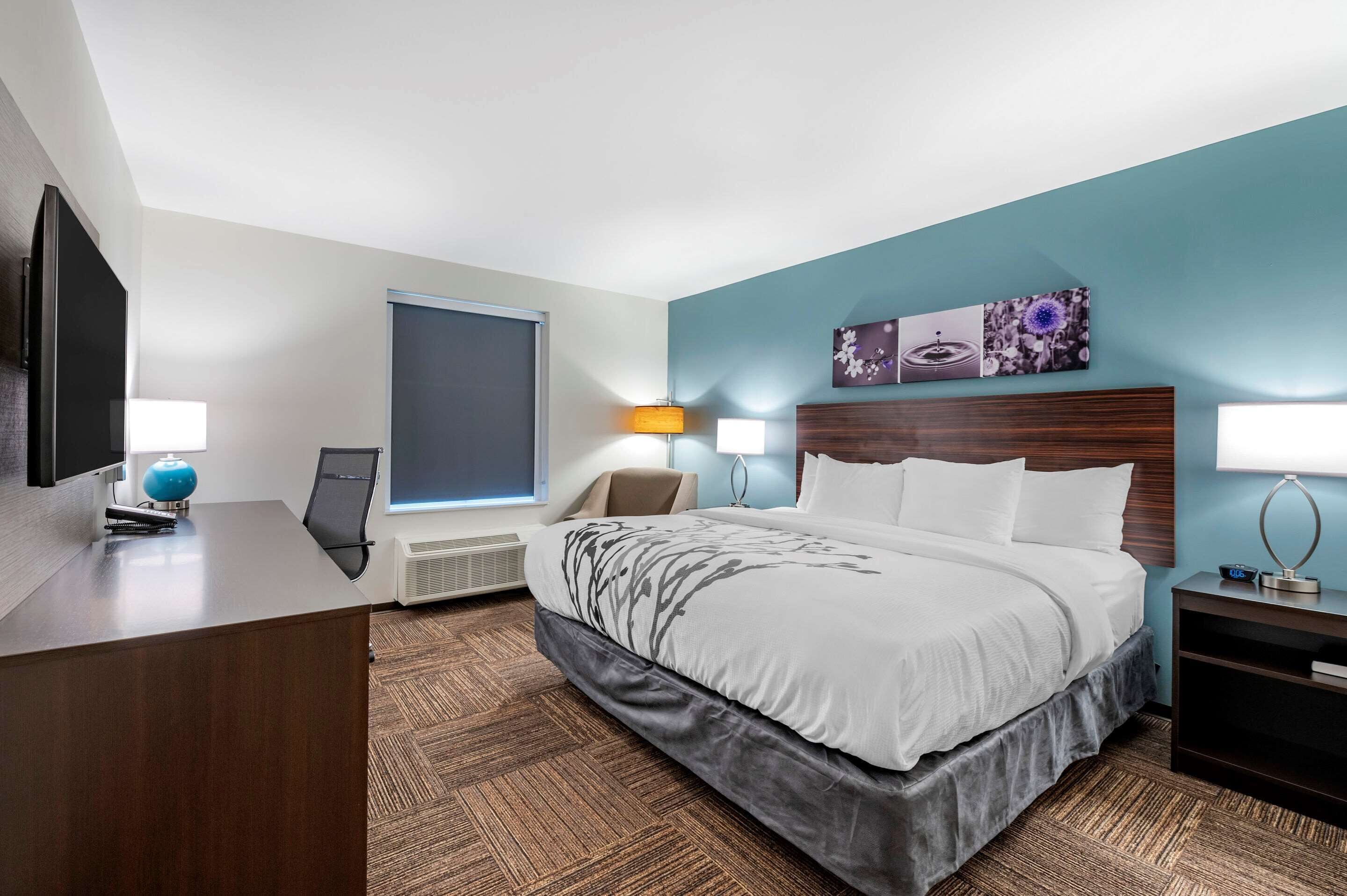 Standard Room, 1 King Bed, Non Smoking | Premium bedding, down comforters, pillowtop beds, individually decorated