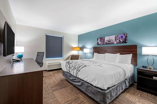 Standard Room, 1 King Bed, Non Smoking